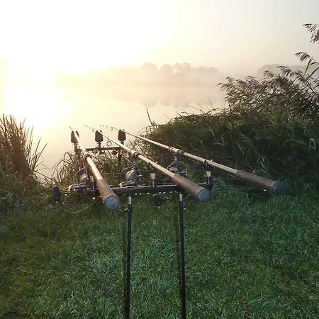 The Haven